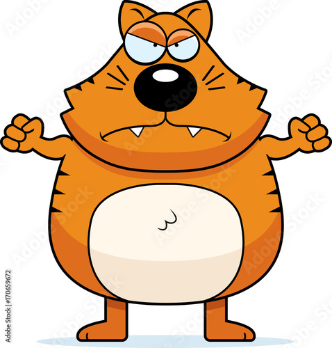 Angry Cat