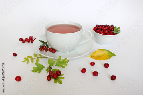 Hawthorn berry tea 