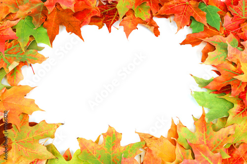 colorful autumn maple leaves frame isolated on white background