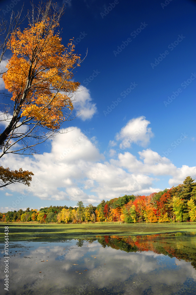 autumn colorful trees reflecting in tranquil lake under sky autumn colorful trees reflecting in tranquil lake under sky