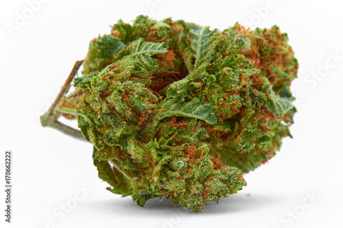 Close up of medical marijuana strain BMC House