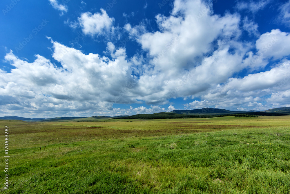 Fototapeta premium sky