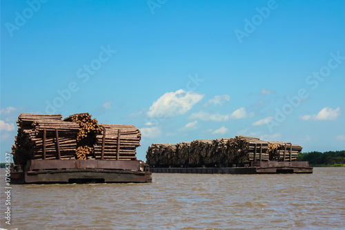 Transportation of industrial wood © Vera