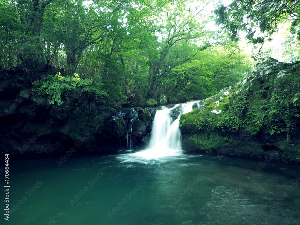 滝 滝