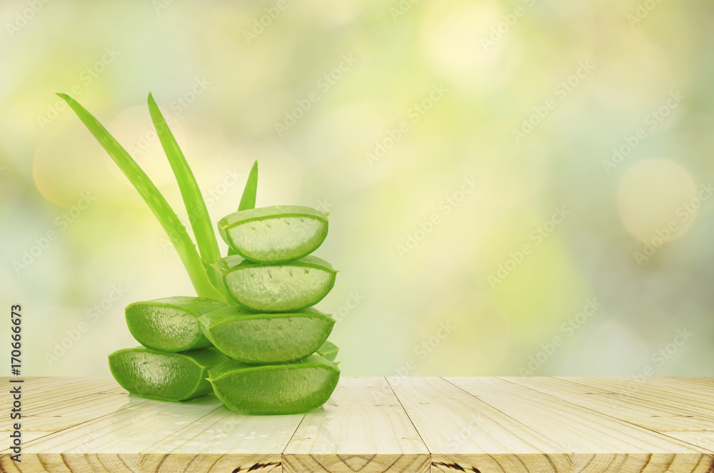 Εκτύπωση καμβά Natural Healing Succulent Slices for Holistic Wellness, Hydration, and Spa Treatment