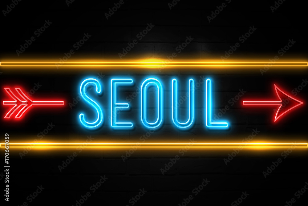 Seoul  - fluorescent Neon Sign on brickwall Front view