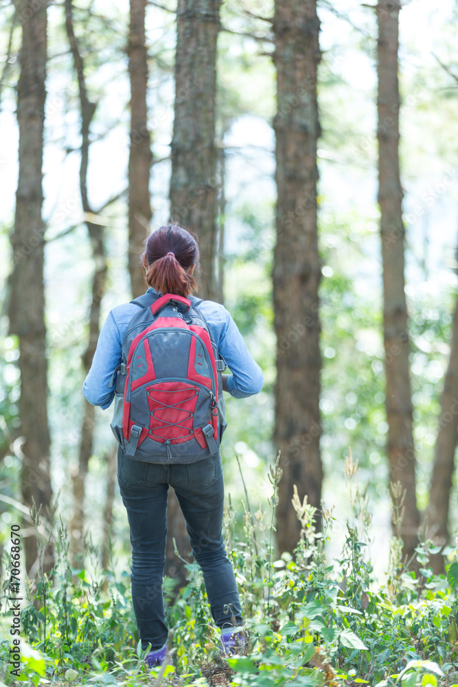 Young Traveler with map backpack relaxing outdoor with forest rocky mountain on background Summer vacations and Lifestyle hiking concept,Vintage style Young Traveler with map backpack relaxing outdoor with forest rocky mountain on background Summer vacations and Lifestyle hiking concept,Vintage style