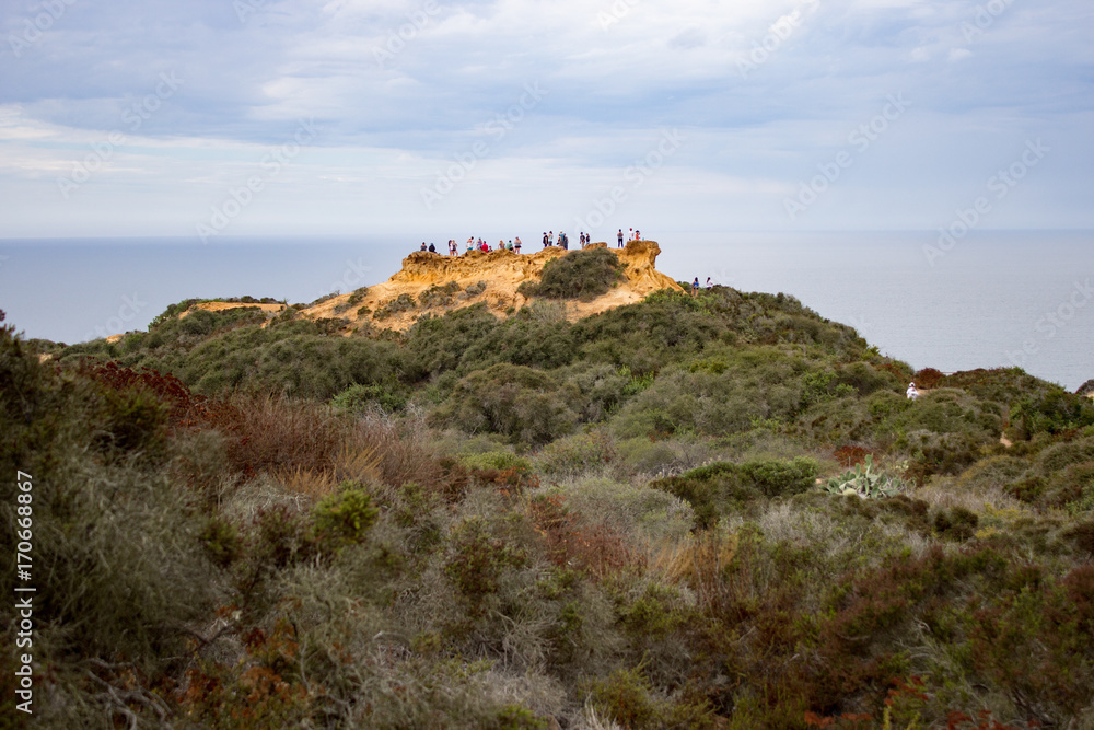 Torrey Pines Reserve Outcropping