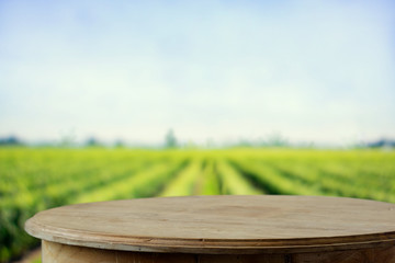 Empty rustic top wood table at gripening soybean field. For agricultural or product Display montage.