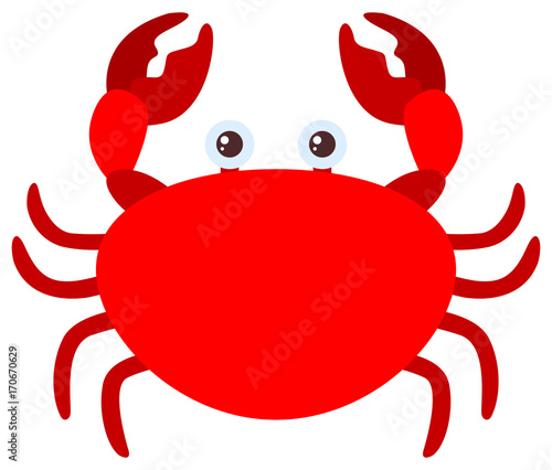 Red crab on white background