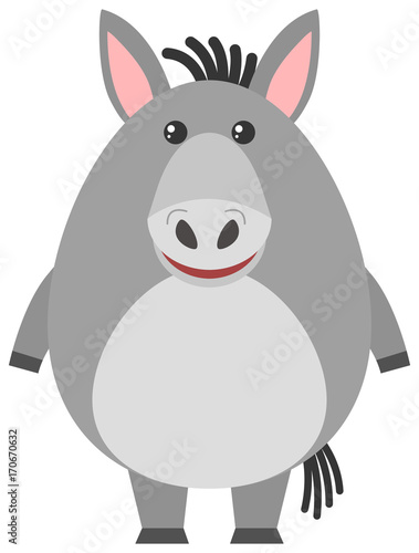 Gray donkey on white background