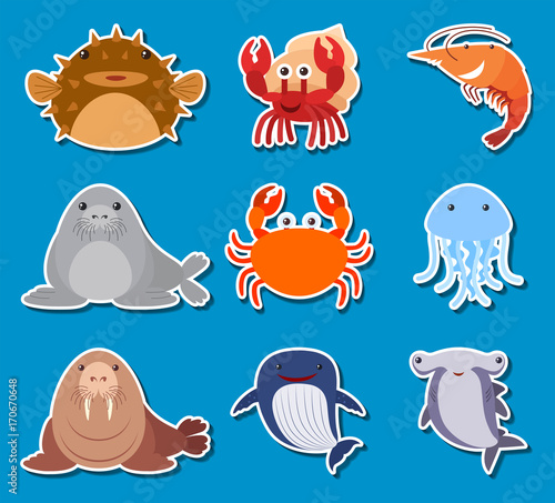 Sticker design for sea animals