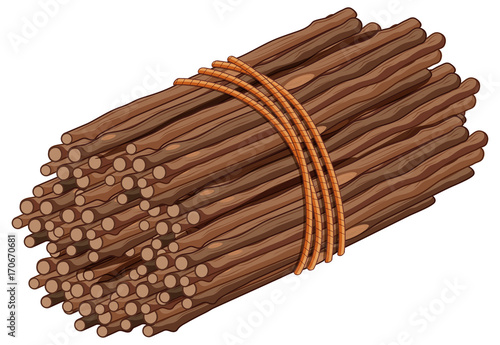 Wooden stick in one bunch