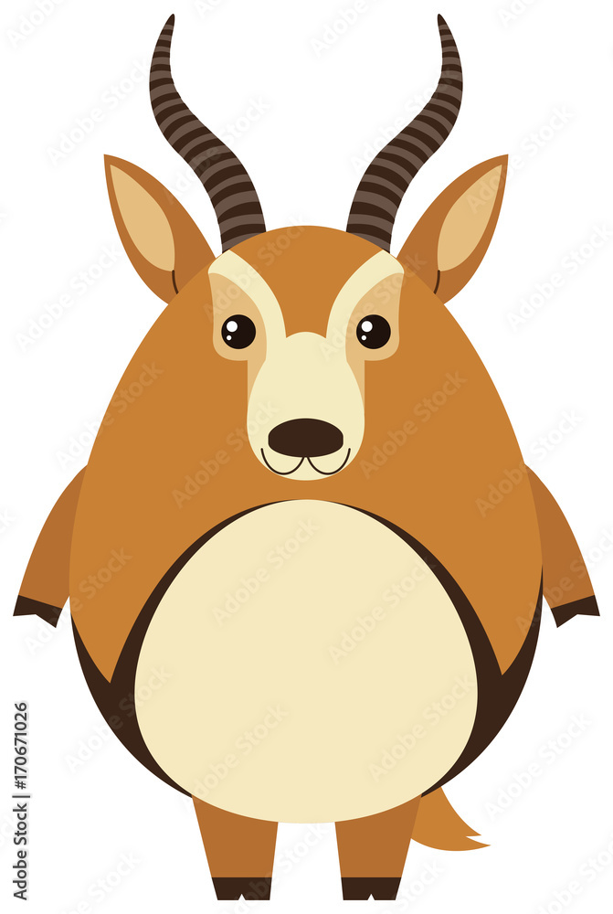 Cute gazelle with round body Cute gazelle with round body