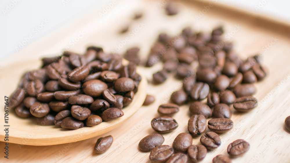 Fototapeta premium Coffee bean seed raw material for coffee drink