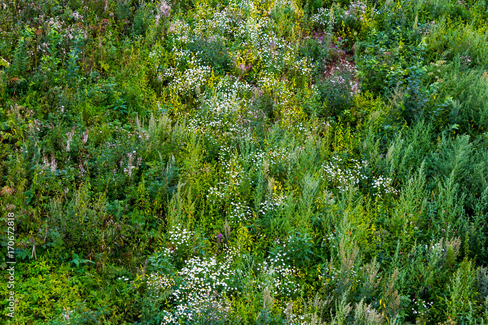 Fototapeta premium Texture background