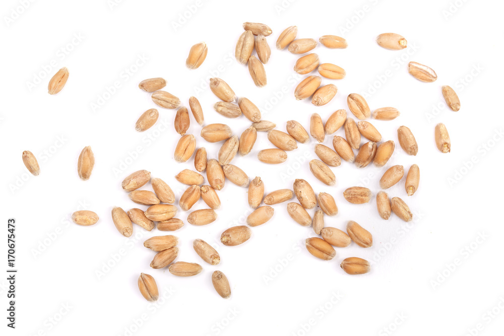 wheat grains isolated on white background. Top view wheat grains isolated on white background. Top view