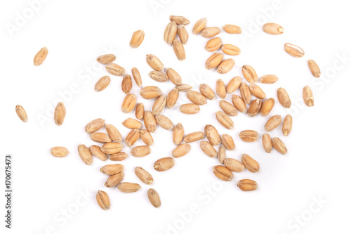 wheat grains isolated on white background. Top view