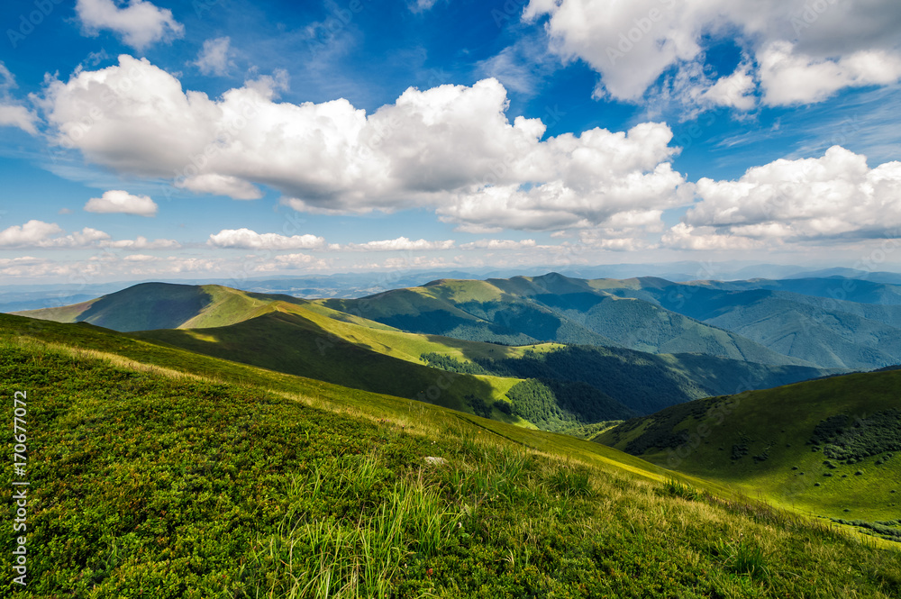 mountain ridge and valley in beautiful Carpathians. lovely mountainous scenery on cloudy summer day