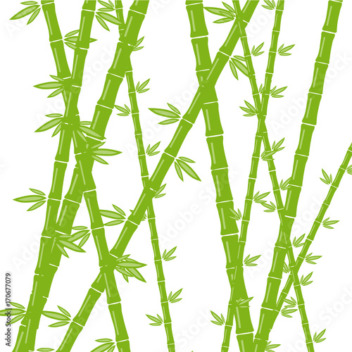 Green bamboo on a white background © Dmitry