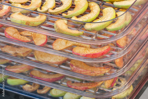 Sliced apples in the food dryer. Cut apples on dehydrator tray. Closeup, selective focus