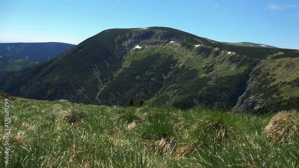 Mountains with forests - sunny summer day - meadow with grass in the foreground Mountains with forests - sunny summer day - meadow with grass in the foreground
