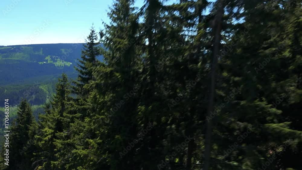 Forest with trees in sunny summer day - aerial moving shot - hills with trees in the background Forest with trees in sunny summer day - aerial moving shot - hills with trees in the background