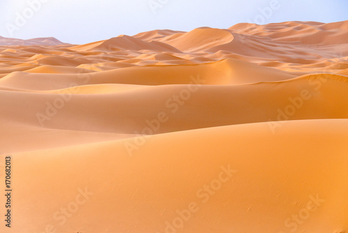 Fototapeta Naklejka Na Ścianę i Meble -  サハラ砂漠