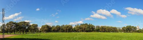 landscape in a green park