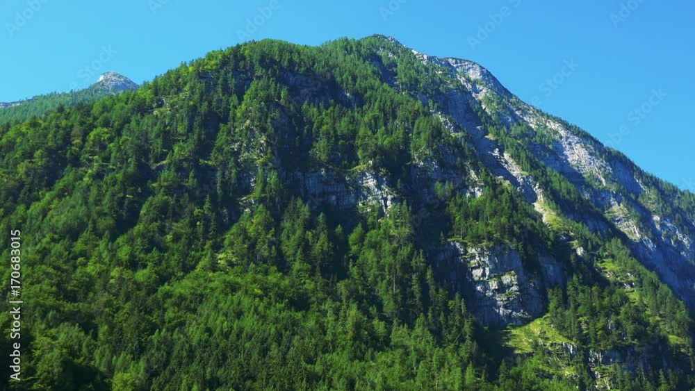 Austria mountains with green trees in summer sunny day Austria mountains with green trees in summer sunny day