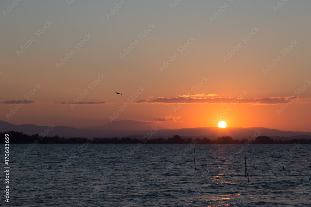 Lake at sunset, with a small silhouette of a flying seagull and a beautiful sky with warm, colorful tones.