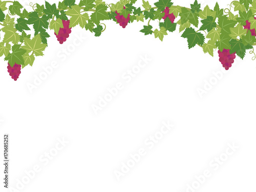 ブドウのフレーム素材