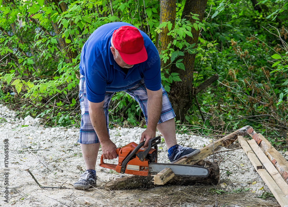 Professional is cutting firewood in forest with a professional chainsaw Professional is cutting firewood in forest with a professional chainsaw