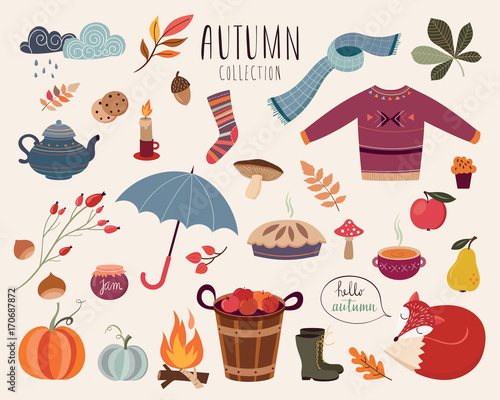 Hand drawn autumnal collection of decorative elements