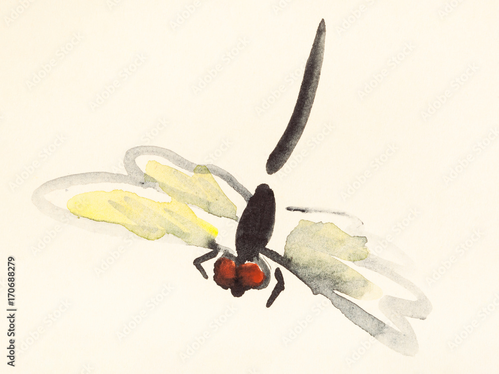 Fototapeta premium flying dragonfly hand painted on colored paper