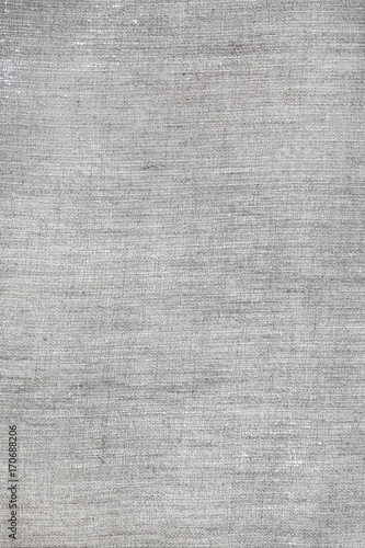 blank gray vertical canvas