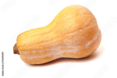 pumpkin on white background