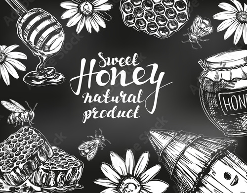 Honey frame drawn with chalk on blackboard. Design elements set. Detailed engraved. Vintage hand drawn vector illustration realistic sketch.