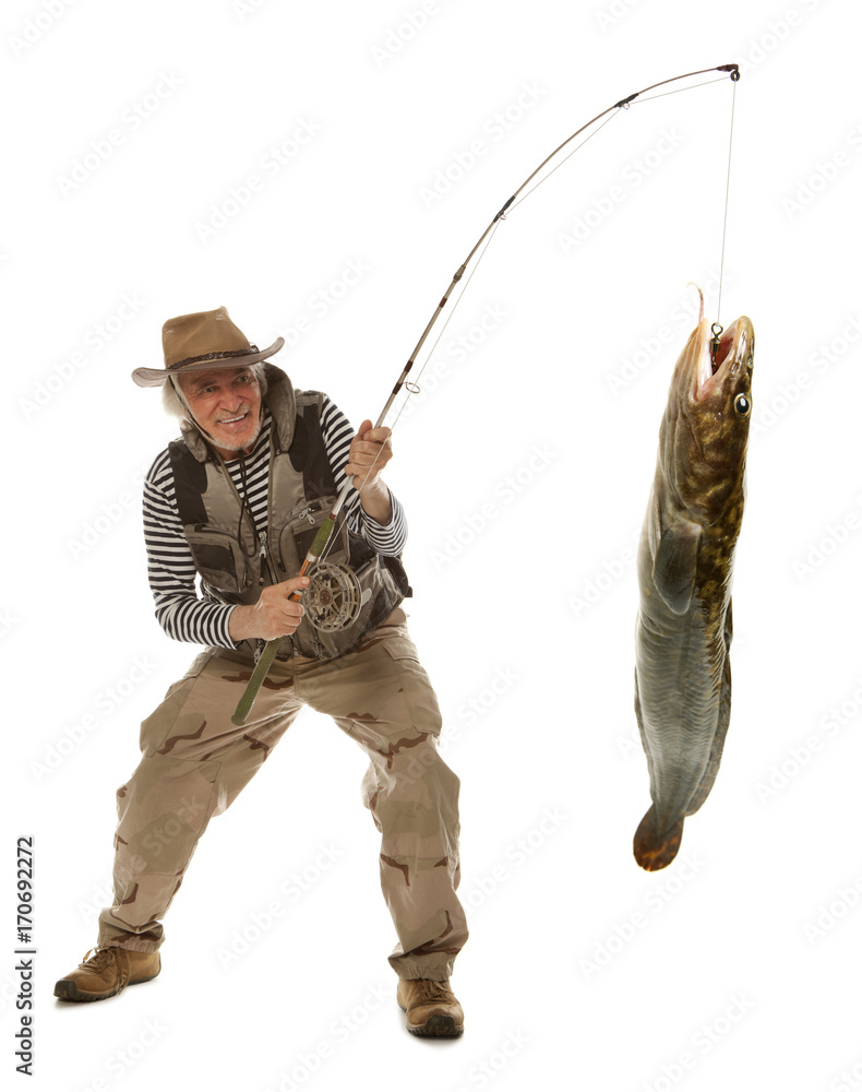 Senior fisherman with big fish - burbot, codfish (Lota lota) isolated Senior fisherman with big fish - burbot, codfish (Lota lota) isolated