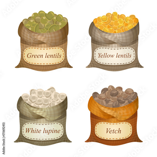 Four untied sacks with beans, lentils and labels on them / Untied sacks with green lentils, yellow lentils, white lupine, vetch and names on them

