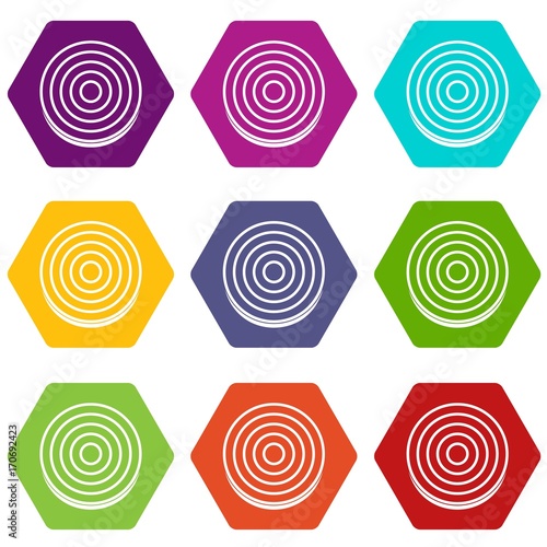 Slice of sweet onion icon set color hexahedron