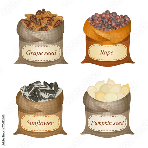 Four untied sacks with oil seeds and labels on them / Untied sacks with grape seeds, rape, sunflower, pumpkin seeds and names

