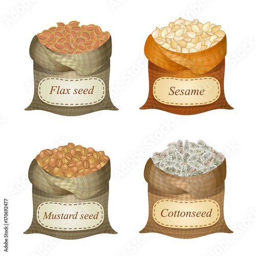 Four untied sacks with oil seeds and labels on them / Untied sacks with flax seeds, sesame, mustard seeds, cottonseed seeds and names
