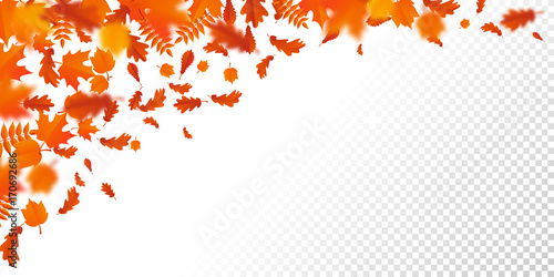 Autumn leaf fall or autumnal falling leaves on white wooden background. Vector orange foliage flying in wind motion blur. Maple, rowan or chestnut and poplar leaf pattern for autumn design