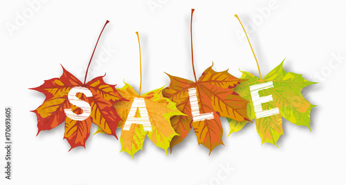 4 Autumn Maple Leaves Sale