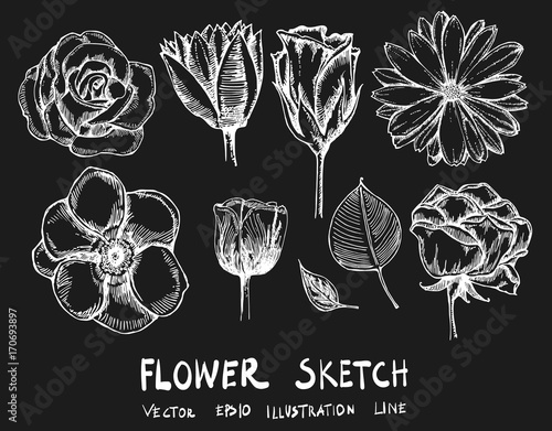 Set of Doodle sketch flower Hand drawn Sketch line vector illustration eps10