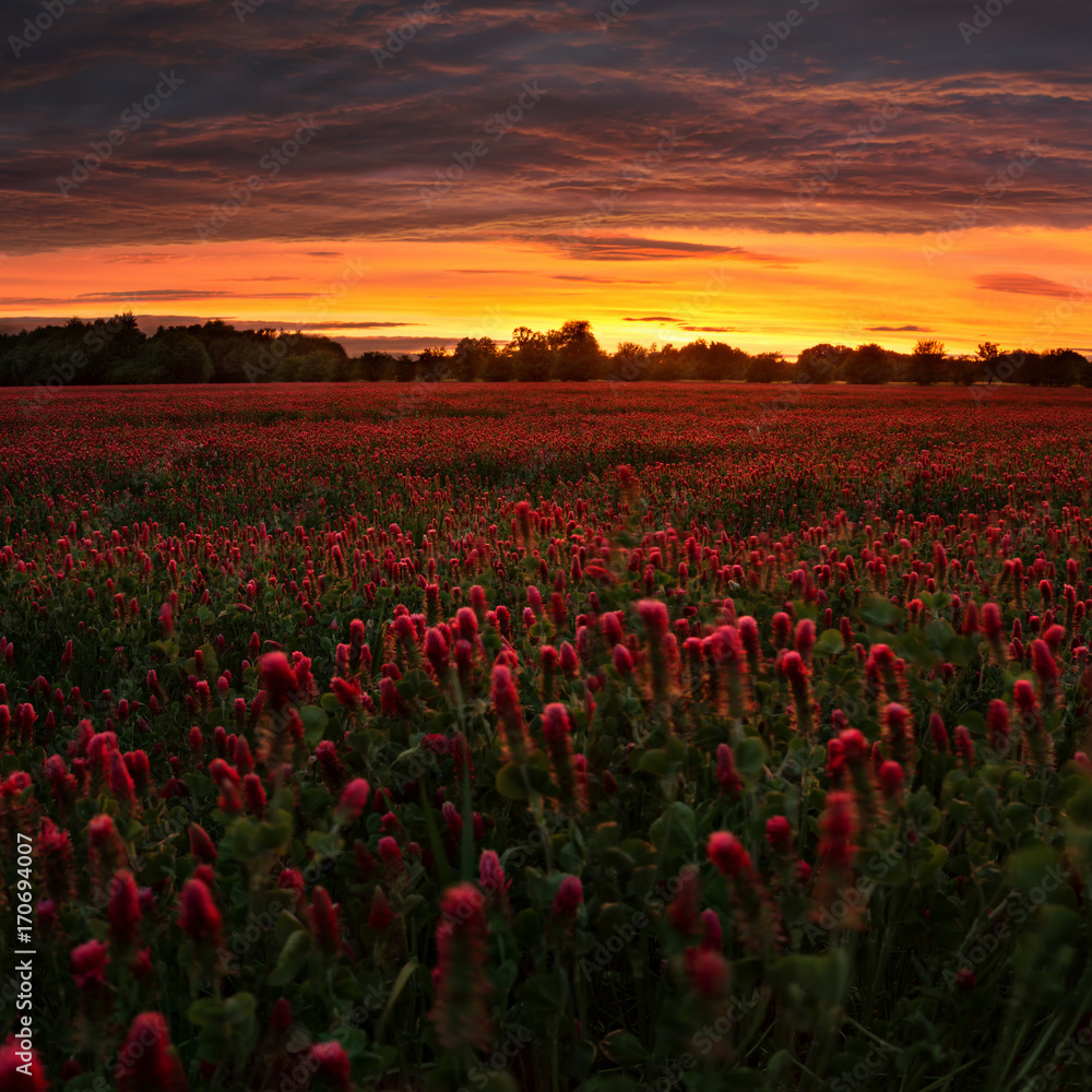 Naklejka premium Burning Sky