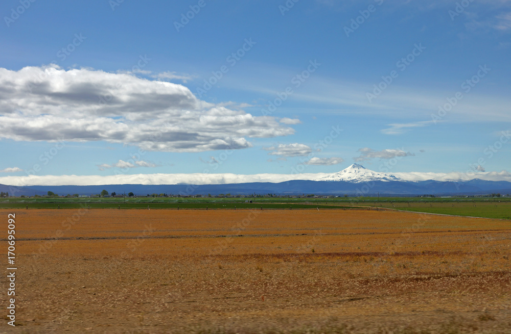 Obraz premium Mount Jefferson of the Oregon Cascades, overlooking Culver, Oregon