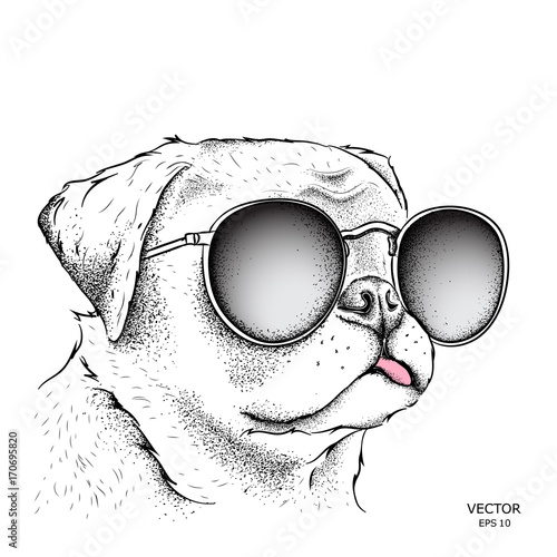 Image Portrait dog in the cravat and with glasses. Vector illustration.