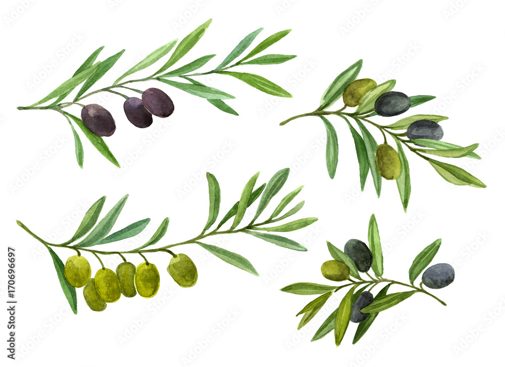 Big set with green and black olive branch Big set with green and black olive branch